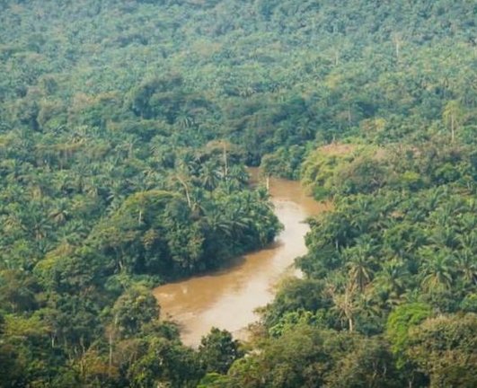 The world's second largest rainforest DR Congo 